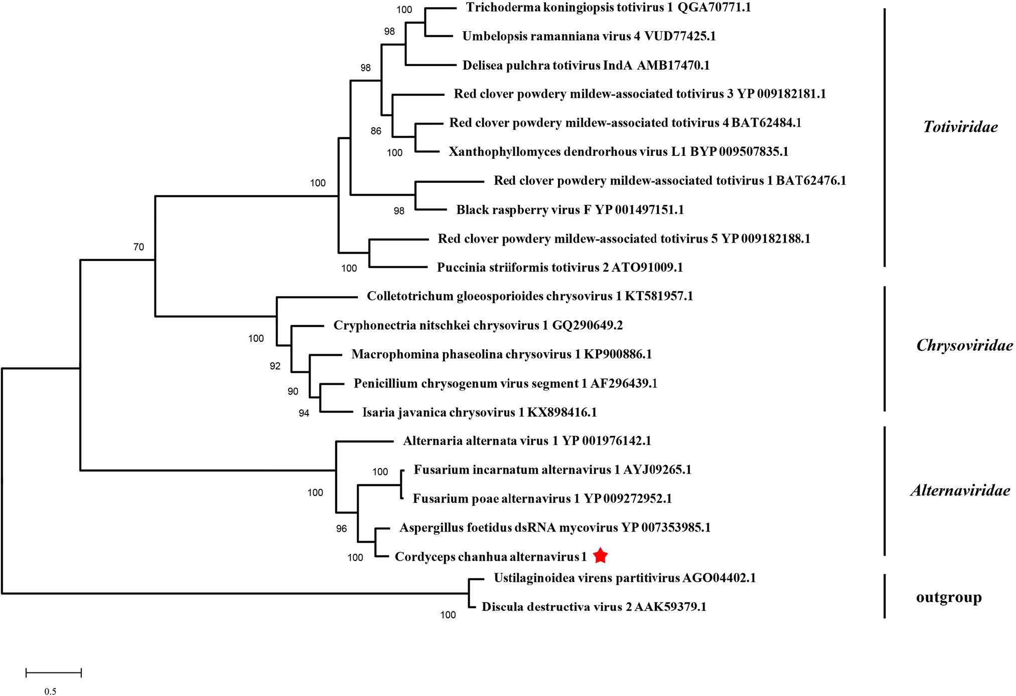 85 Zhang YX 2022_Molecular characterization of a novel alternavirus infecting the entomopathogenic fungus Cordyceps chanhua2.jpg