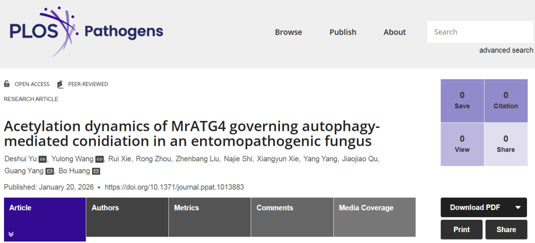《Plos Pathogens》刊发我校虫生真菌团队在绿僵菌产孢表观调控机制上的最新研究成果1.png