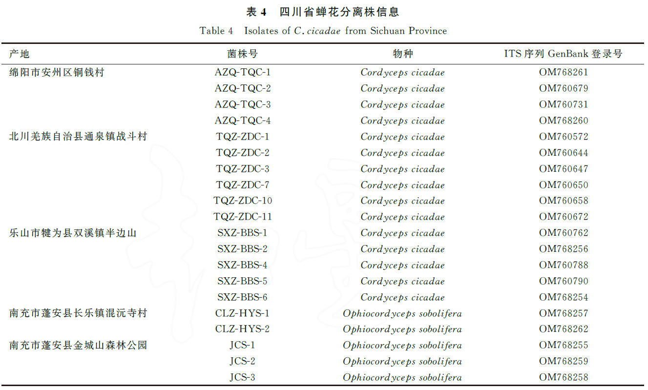 李昊杰2023_四川省蝉花自然分布与生境因子研究9.jpg
