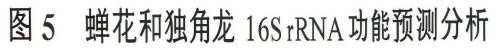 钟文琳2020_一种与蝉花易混淆虫草的鉴定及内菌核细菌群落分析11.jpg