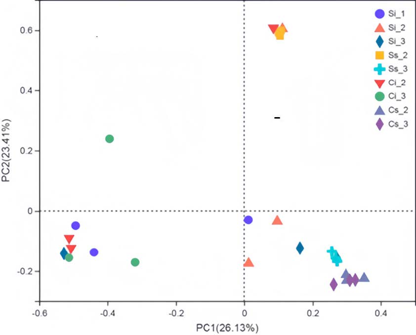 20 Hu GP 2024_Filtration effect of Cordyceps chanhua mycoderm onbacteria & its transport function on N_on2.jpg