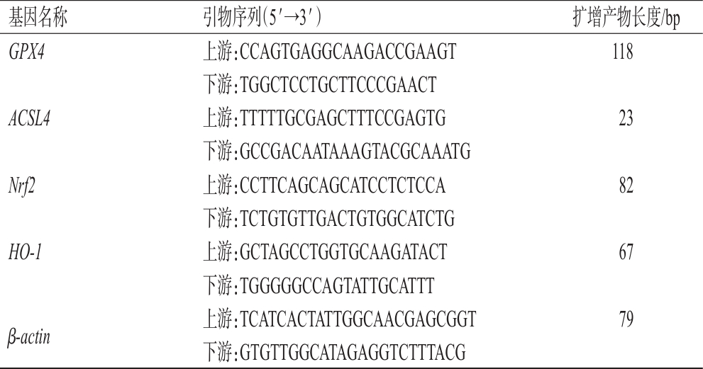 表1 引物序列及扩增产物长度.png