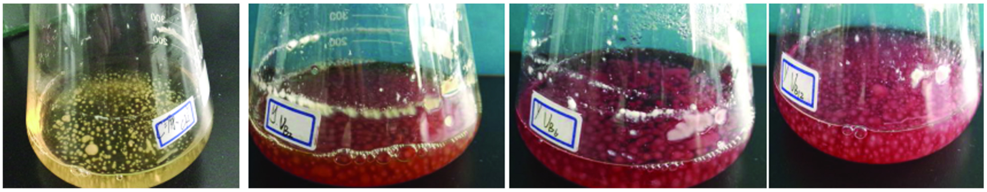 69 Xie CQ 2018_Study on Optimization of Culture Conditions for Wild Isaria cicadae Miquel Liquid Strain5.jpg