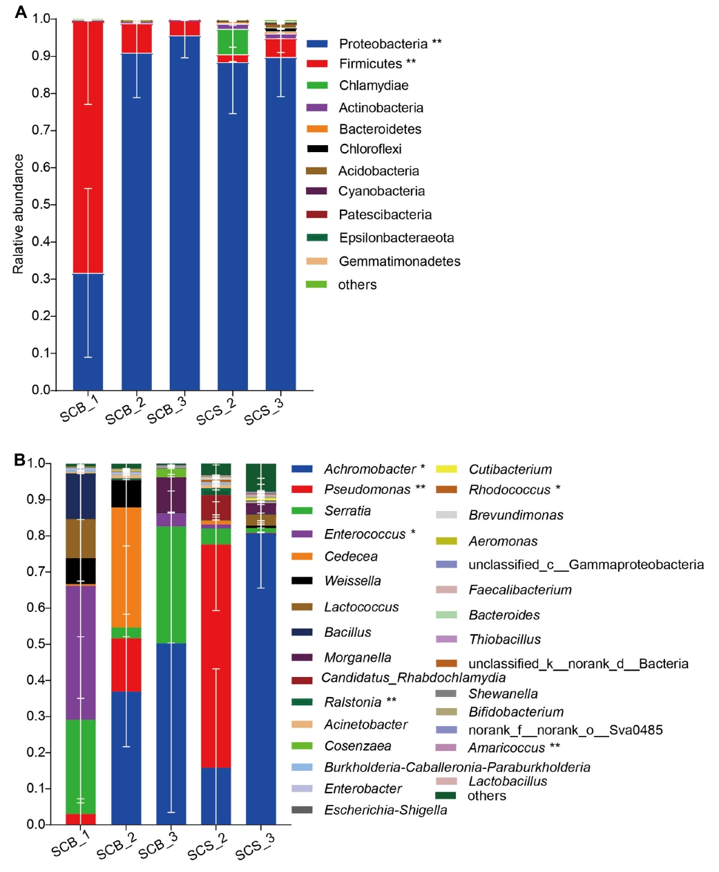 78 Zeng ZY 2021_Different Cultivation Environments Affect the Yield, metabolites of chanhua5.jpg