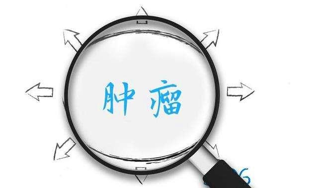 1615169567900518.jpg src=http___n_sinaimg_cn_front_223_w644h379_20181123_IBbt-hmivixn8296498_jpg&refer=http___n_sinaimg.jpg
